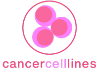 BeaconPlus Logo